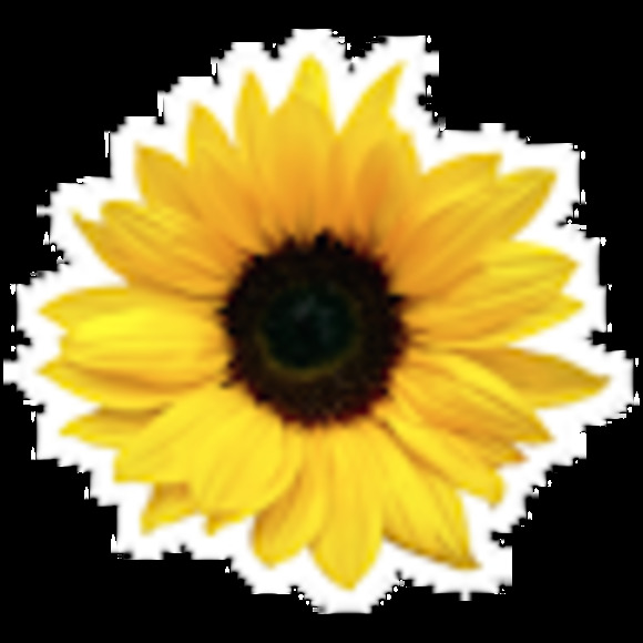 Meet your Posher, Sydney - Picture 1 of 1